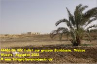 44466 04 022 Fahrt zur grossen Sandduene, Weisse Wueste, Aegypten 2022.jpg